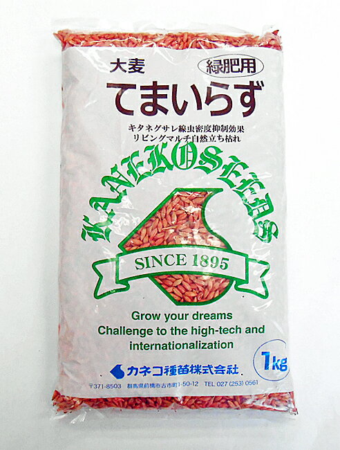 オオムギ てまいらず 1kg カネコ種苗のタネ