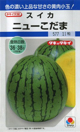 楽天市場】タキイ種苗 タキイ種苗 野菜種 スイカネオブラック