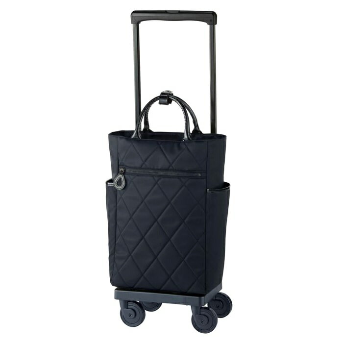 【希少】【極美品】SWANYスワニー　D-416シテーロ （L21）101mas 00f6a1f3fd917c660caeb4576f5ca4