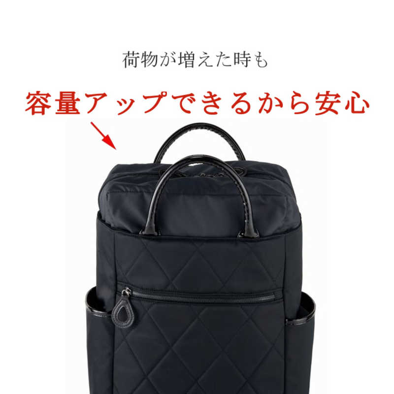 楽天市場】スワニー スワニー SWANY バッグシテーロ4 L21 ブラックD
