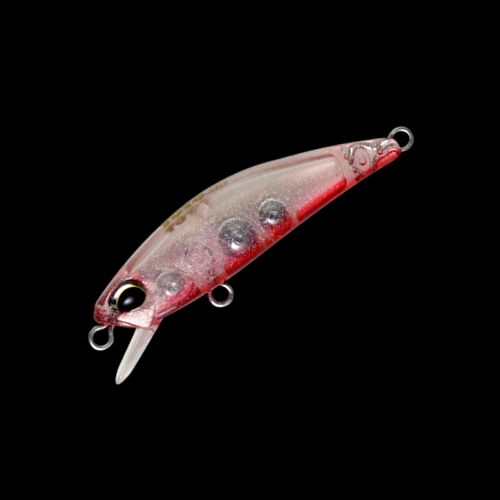 テトラワークス トト42(TOTO42) TC42(アカハラ)