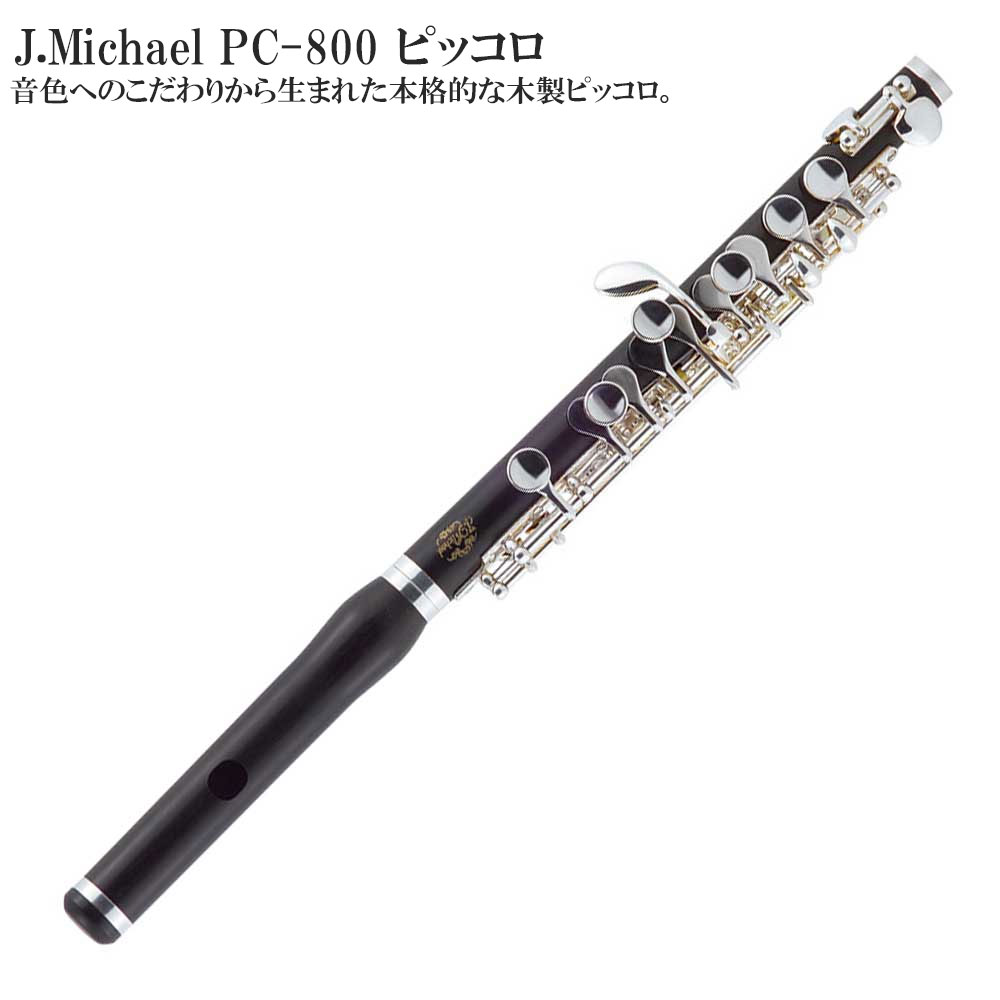 楽天市場】ヤマハ YAMAHA/ヤマハ (ピッコロ)YPC-91 | 価格比較 - 商品