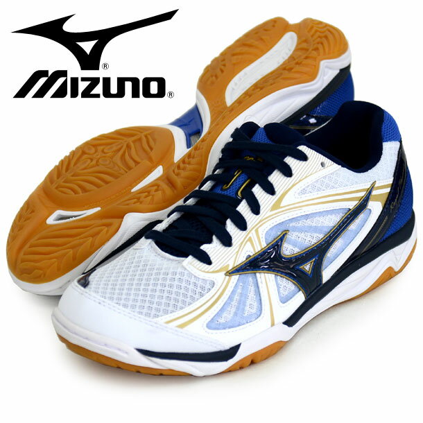 【新品未使用】MIZUNO ロイヤルフェニックス 【27㎝】 限定カラー ミズノ MIZUNO ユニセックス バレーボール シューズ ロイヤル