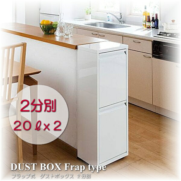 楽天市場】エスエイ企画 エスエイ企画 DS-76 ダストボックス 2分別