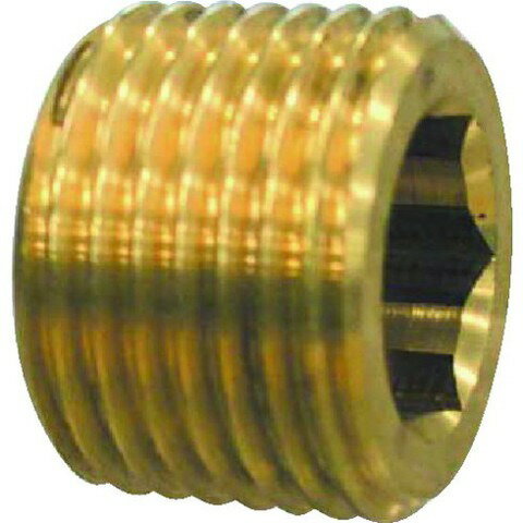 TBC 13 S-MP 真鍮豆プラグ 13SMP タブチ 13S-MP 真鍮豆プラグ8127862 812-7862 TABUCHI TR