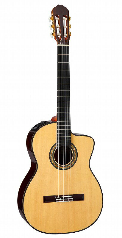 TAKAMINE タカミネ エレアコ アコースティック ギター DMP751C TAKAMINE タカミネ DMP751C CYS 【エレアコ 】 送料無料
