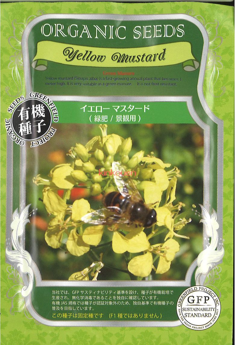 グリーンフィールドプロジェクト グリーンフィールド 緑肥有機種子 イエロー マスタード 小袋 A058