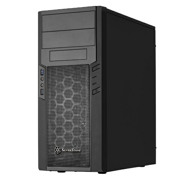 SILVERSTONE PS13の商品画像