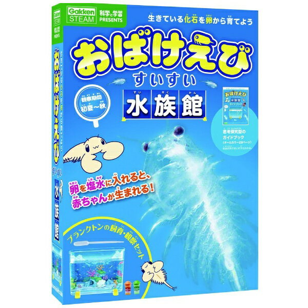 ✅SALE❣️「海の動物園！シーモンキーズ マゼンタセット」 新品❣️希少❣️夏研究 ✓SALE❣️「海の動物園！シーモンキーズ マゼンタセット」 新品