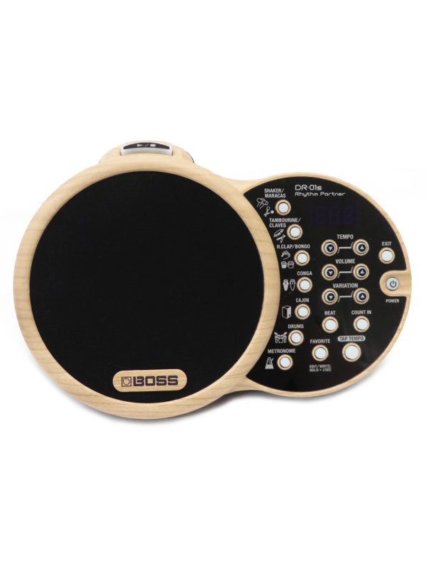 DR-01S Rhythm Partner