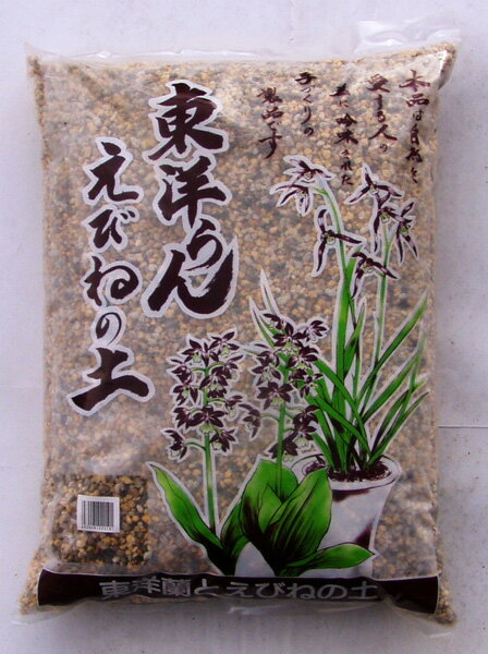 東洋らん・えびねの土