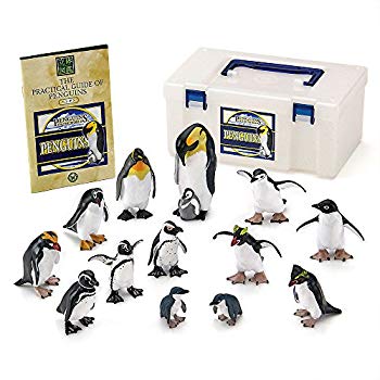楽天市場】カロラータ 鳥類 動物 生物フィギュア 立体図鑑リアル