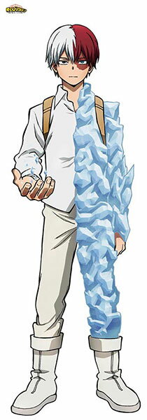楽天市場】KADOKAWA 僕のヒーローアカデミア 超でっかい描き下ろし