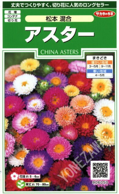 サカタのタネ｜SAKATA SEED CORPORATION 実咲 アスター 松本 混合 906050