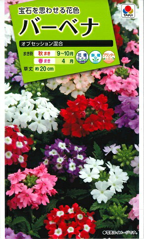タキイバーベナ オブセッション混合の種