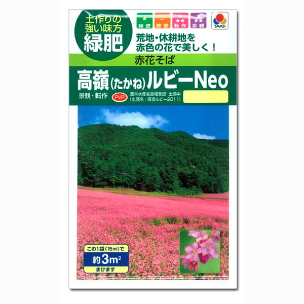 タキイ赤花そば 高嶺ルビーNeoの種