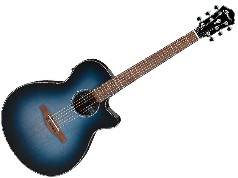 楽天市場】荒井貿易 Legend ARIA FG-15CE BK Black エレアコ カッタ