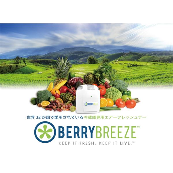 楽天市場】グリーンエージェント BERRYBREEZE冷蔵庫専用エアー