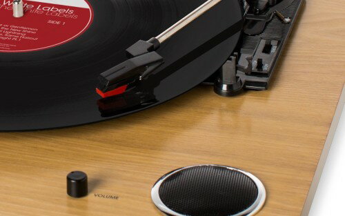 ION アイオンオーディオ レコードプレーヤ用交換針 PT01-RS2 NU-CTR-013