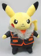 楽天市場】ポケモン ポケモンセンターオリジナル ぬいぐるみ