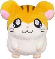 1f7c3f7d6bb94b762c30a63ad967e4