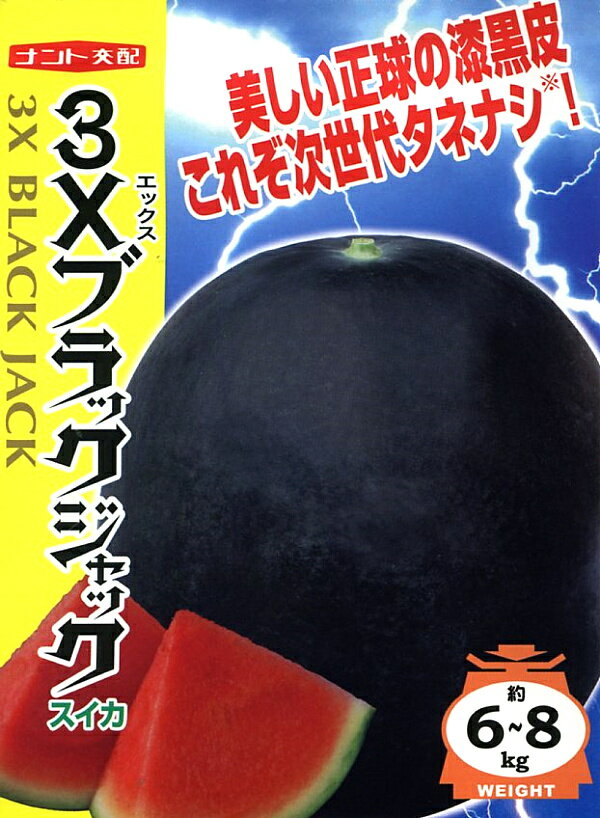 楽天市場】ナント種苗 ナント種苗 3Xブラックジャック すいか | 価格
