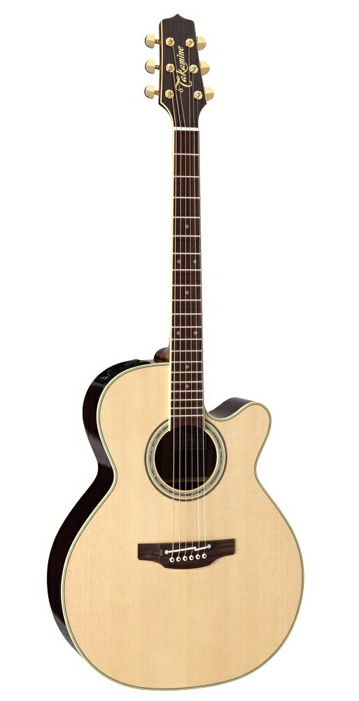 TAKAMINE タカミネ エレアコ アコースティック ギター DMP751C 63338-2.jpg