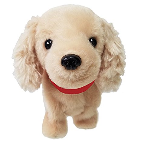 寺子屋　こえマネわんちゃん Amazon.co.jp: こえマネシリーズ わんちゃん 寺子屋 センサーで