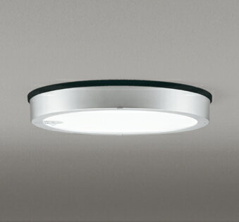 オーデリック ODELIC OG254817 LEDシーリング 昼白色 人感センサ付 エクステリアライト 軒下取付専用 防雨型 照明器具