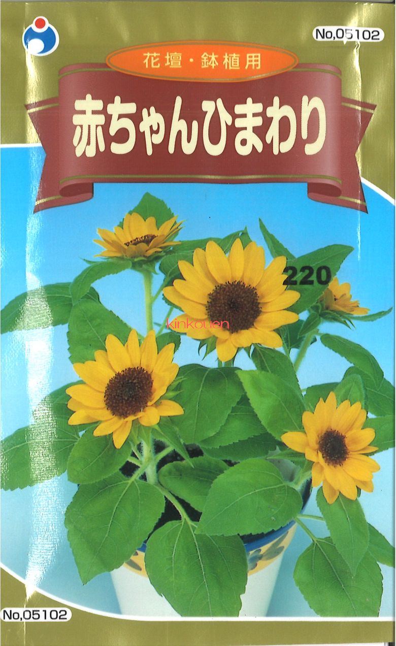 ウタネ トルコ桔梗(八重咲きバラエティーミックス)