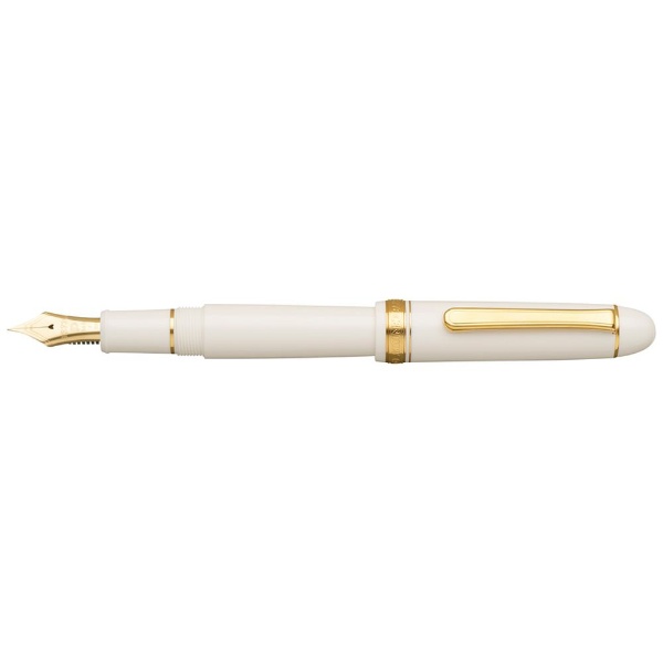 楽天市場】プラチナ万年筆 万年筆 PNB-13000青 極細 | 価格比較 - 商品