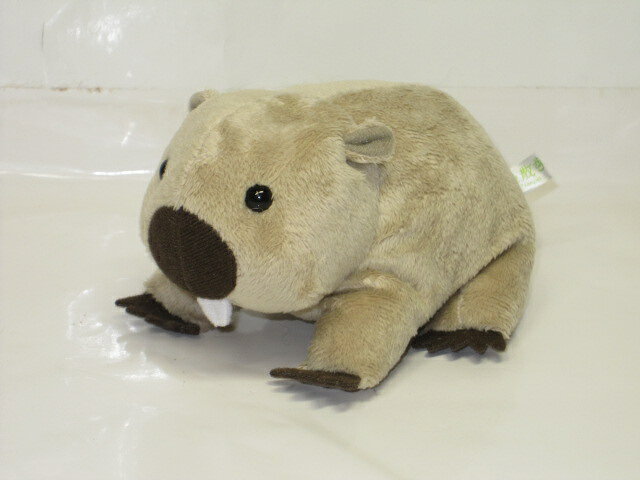 楽天市場】内藤デザイン研究所 大陸散歩 おともだちビーンズ ウォン