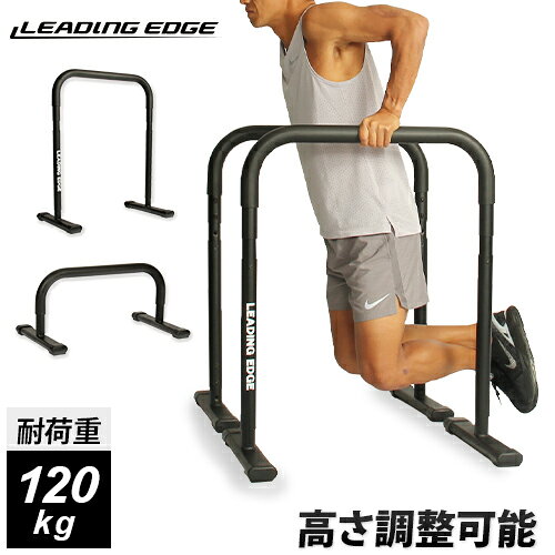 LEADING EDGE 2WAY ディップスタンド 耐荷重120kg ブラック LE-DS800 BK