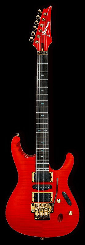 楽天市場】星野楽器 星野楽器 Ibanez アイバニーズ EGEN18-DRG “Dragon