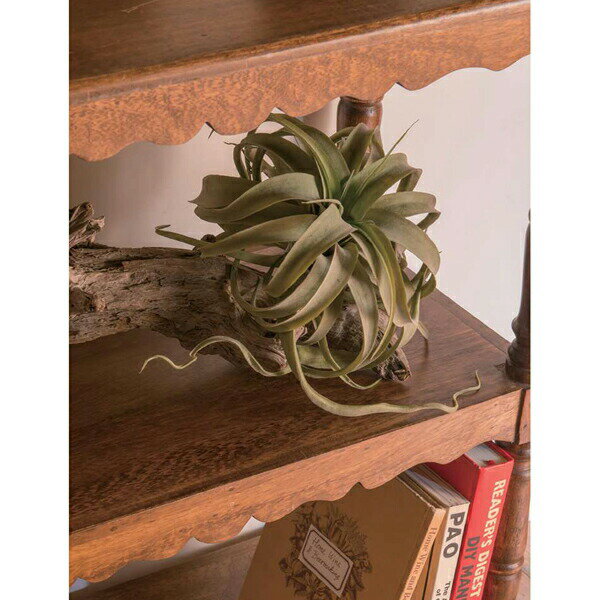 ポッシュリビング キセログラフィカ S