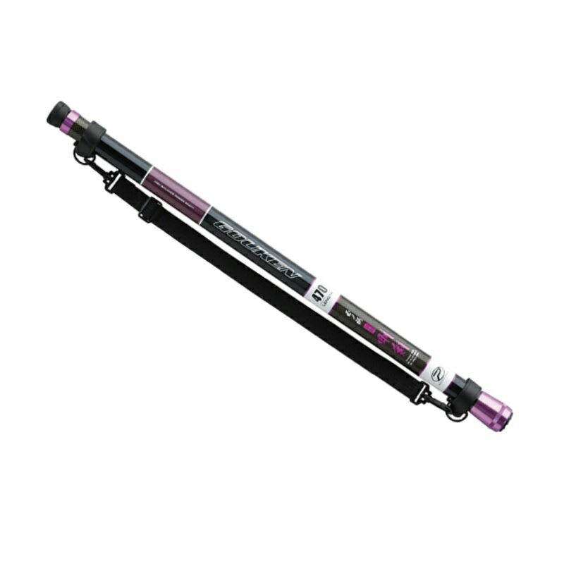 楽天市場】プロックス PROX 磯玉ノ柄小継剛剣 590 | 価格比較 - 商品