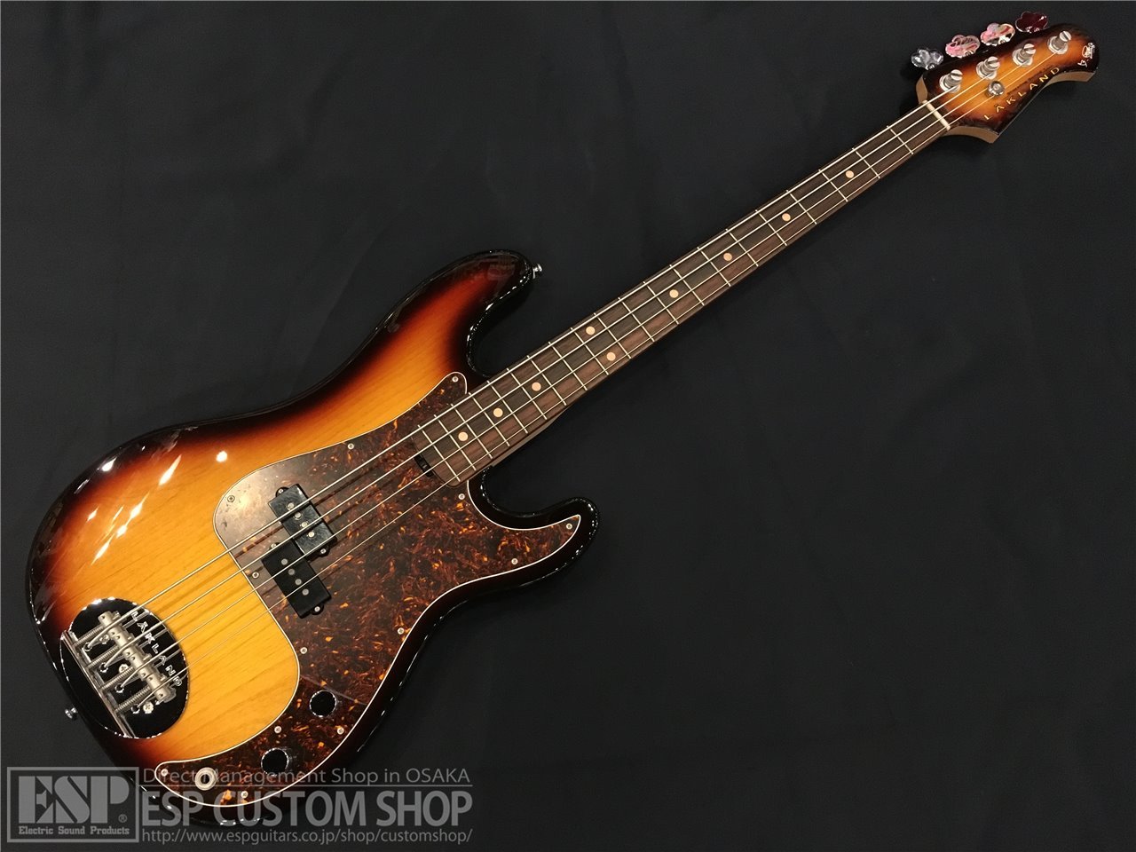 楽天市場】イー・エス・ピー LAKLAND Shoreline Series SL55-69 