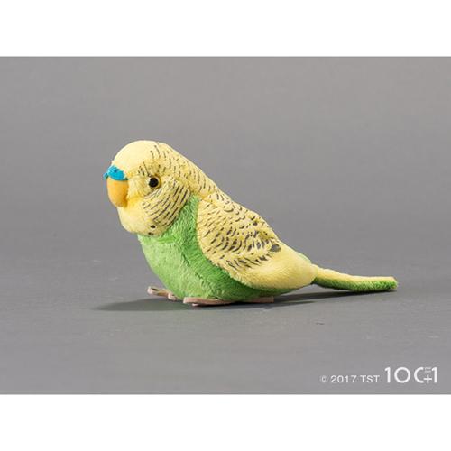 楽天市場】太洋産業貿易 セキセイインコ（ブルー） | 価格比較 - 商品