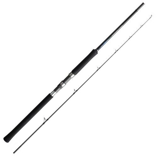 ダイワ(DAIWA) ショアジギングロッド 96M Amazon | ダイワ(DAIWA) ショアジギング X 96M ブラック