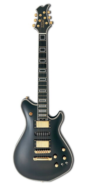 楽天市場】キラー・ギターズ Killer KG-MARQUIS CUSTOM/Black | 価格