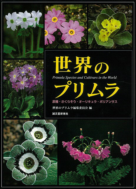 楽天市場】八木書店 アグネスの英語で世界を考える ( アグネス