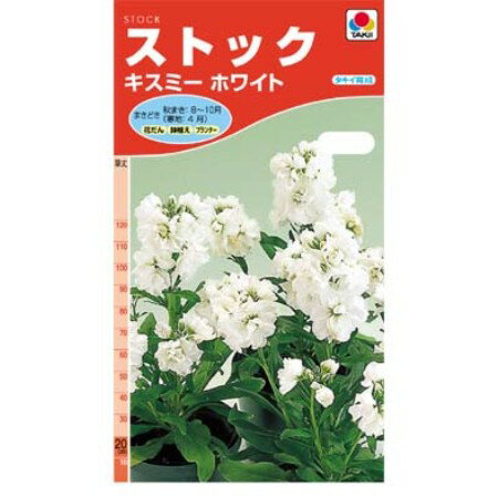 タキイの種 ストックキスミー ホワイト