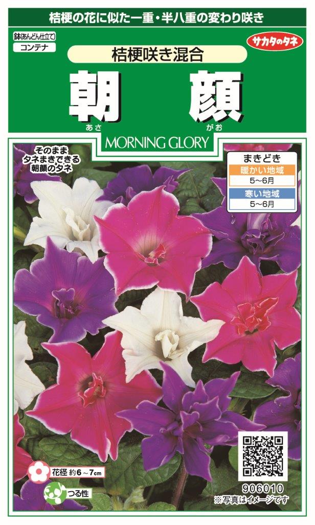 サカタのタネ｜SAKATA SEED CORPORATION 実咲 朝顔 桔梗咲き混合 906010