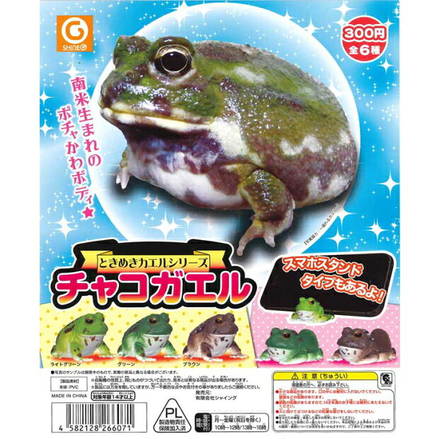 楽天市場】シャイング ときめきカエルシリーズ チャコガエル | 価格