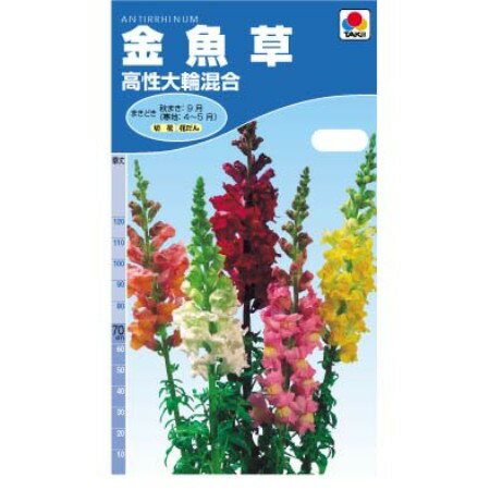 タキイの種 金魚草高性大輪混合