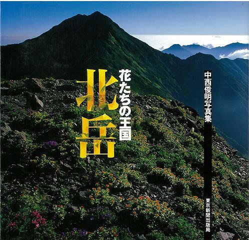 白水社 アラビア書道の宇宙 本田孝一作品集 Fuad Kouichi Honda