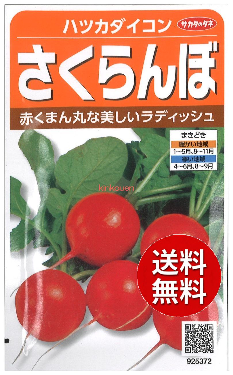 パシフィックレッドダイド 専用苗 楽天市場】サカタのタネ サカタのタネ｜SAKATA SEED CORPORATION 実咲