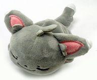 楽天市場】ポケモン ポケモンセンターオリジナル くったりぬいぐるみ