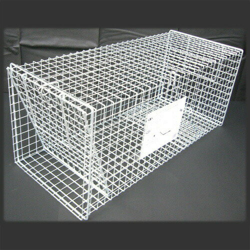 楽天市場】コンパル コンパル 4935682022322 スーパー捕獲器 LL | 価格