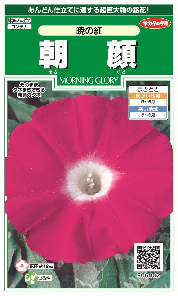 サカタのタネ｜SAKATA SEED CORPORATION 実咲 朝顔 暁の紅 906002